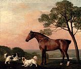 Hunter Canvas Paintings - A Bay Hunter With Two Spaniels